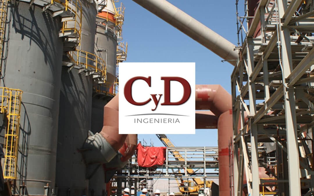 CyD Ingeniería: Reorganización de la compañía con una mirada estratégica.